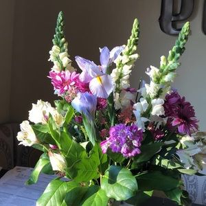 Meet your Posher, Hadley